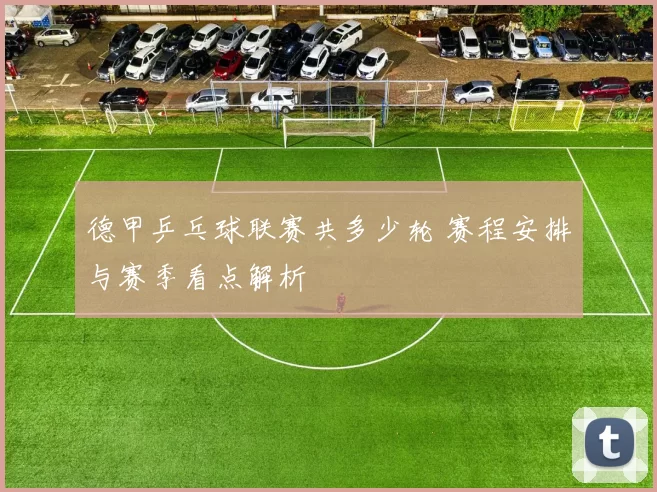 德甲乒乓球联赛共多少轮 赛程安排与赛季看点解析