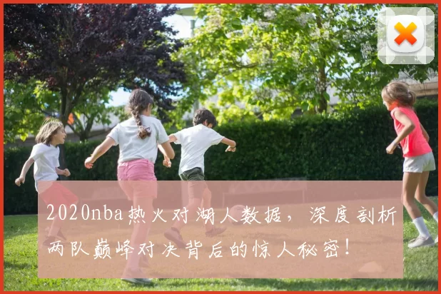 2020nba热火对湖人数据，深度剖析两队巅峰对决背后的惊人秘密！