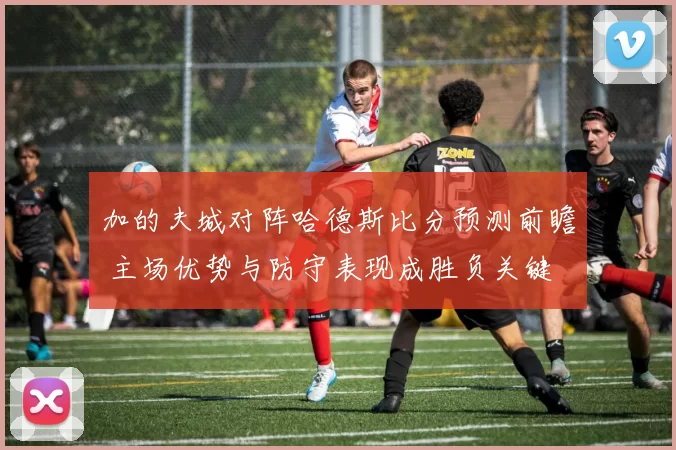加的夫城对阵哈德斯比分预测前瞻 主场优势与防守表现成胜负关键
