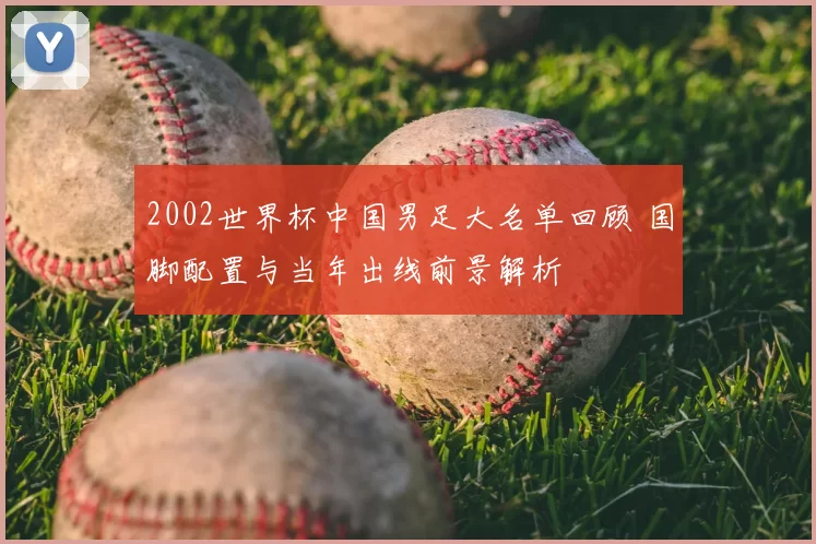 2002世界杯中国男足大名单回顾 国脚配置与当年出线前景解析