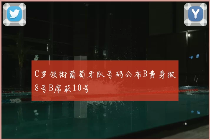 C罗领衔葡萄牙队号码公布B费身披8号B席获10号