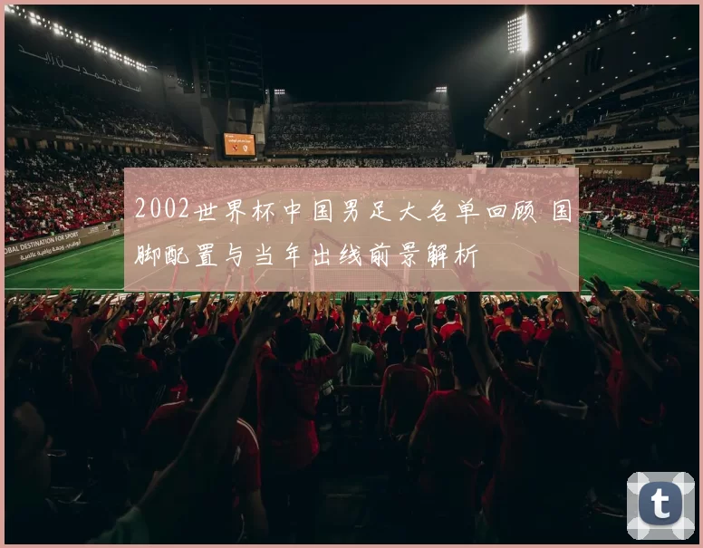2002世界杯中国男足大名单回顾 国脚配置与当年出线前景解析