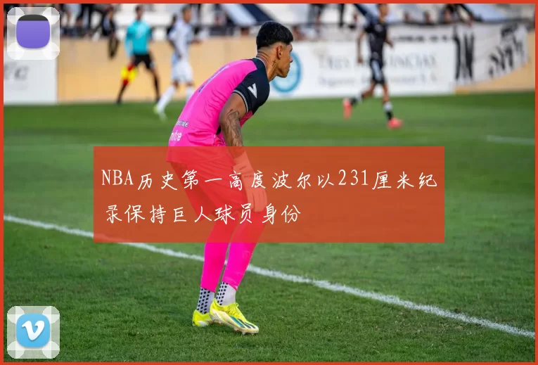 NBA历史第一高度波尔以231厘米纪录保持巨人球员身份