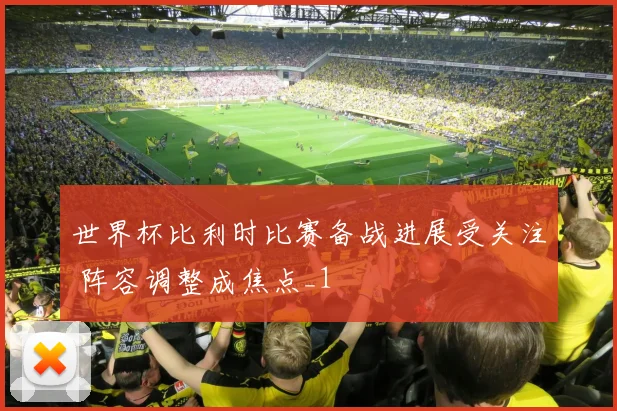 世界杯比利时比赛备战进展受关注 阵容调整成焦点_1