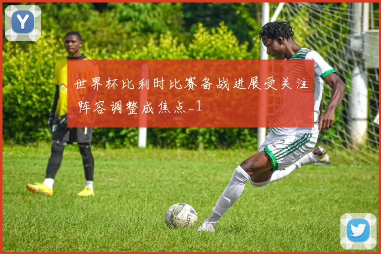 世界杯比利时比赛备战进展受关注 阵容调整成焦点_1